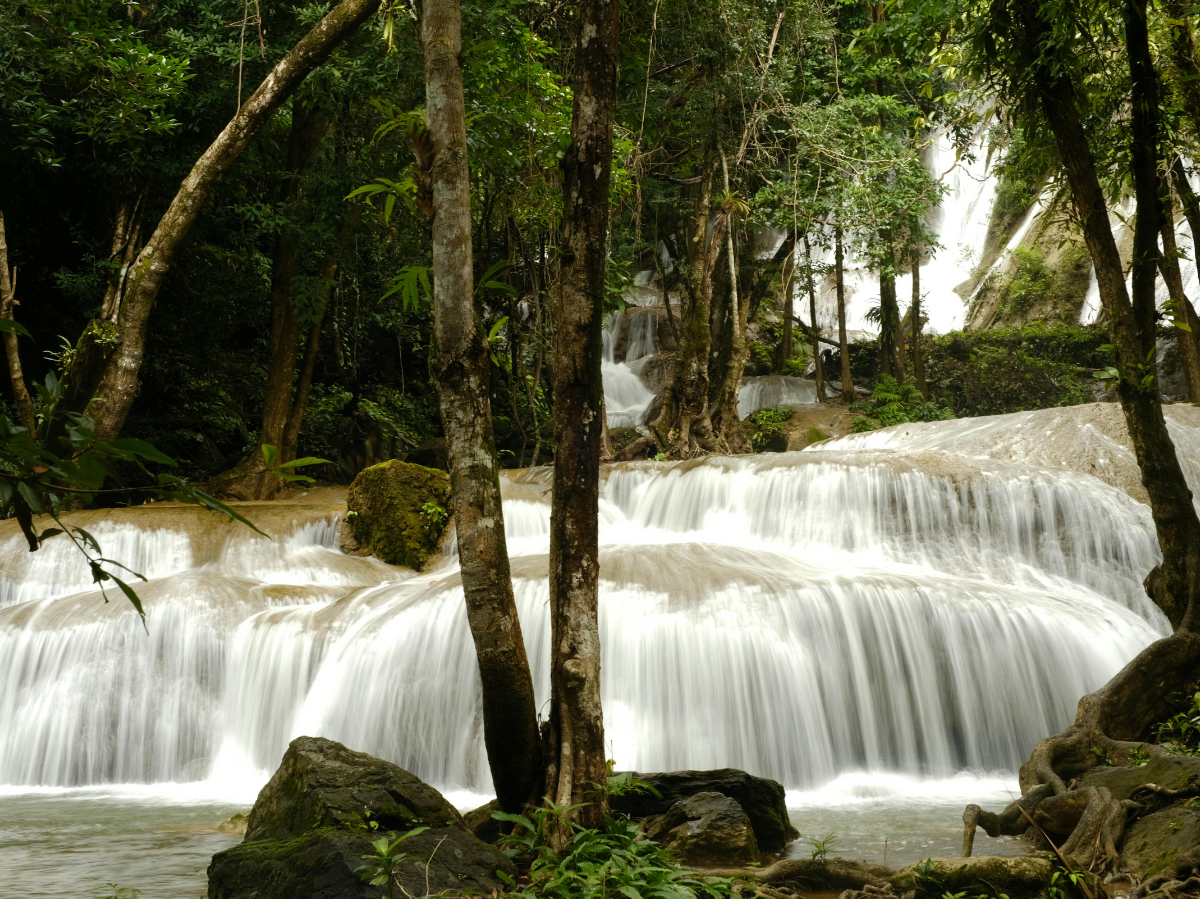 Bangkok feiert Loy Krathong 2025: Umweltschutz und Tradition vereint!